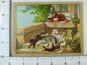 Victorian Trade Card  Cat & Adorable Kittens Stone Porch Upset Water Dish #A