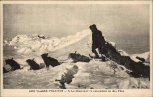 North or South Pole Sled Dog Team Polar Glacier Glaces Polaires Postcard