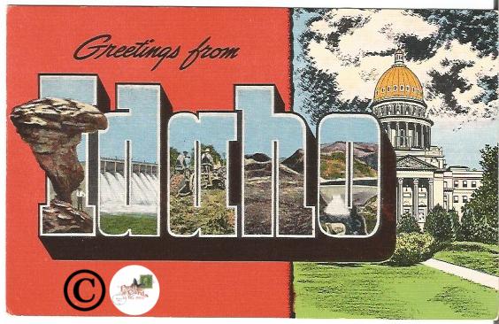 Old Big Letter Postcard Greetings From Idaho Large Letter State Capitol