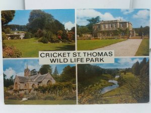 Vintage Multiview Postcard Cricket St Thomas Wildlife Park