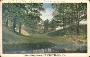 Hawesville KY Kentucky Lovely Park Scene Footbridge Vintage Postcard