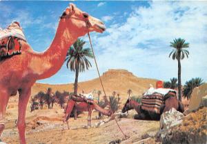 BG9585 sud tunisia une caravane au repos types folklore