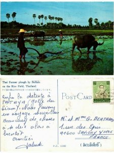 CPM AK THAILAND-Thai Farmer plough by Buffalo in the Rice Field (335179)