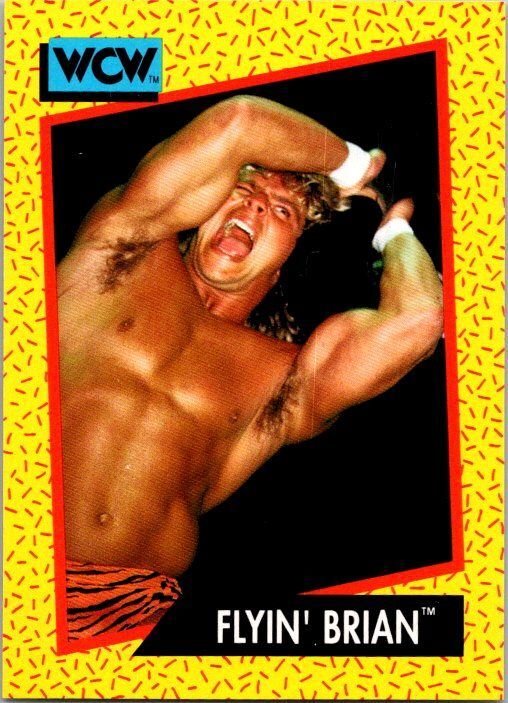 1991 WCW Wrestling Card Flyin' Brian Brian Pillman sk21212