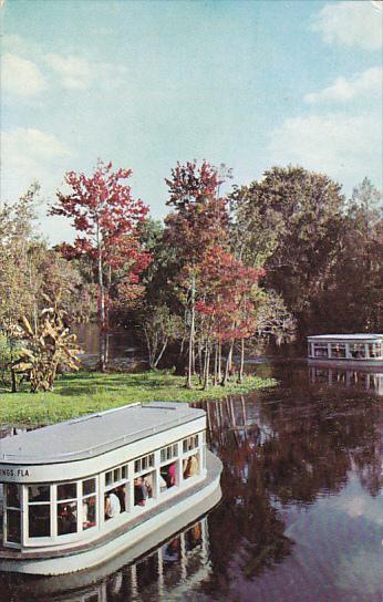 Silver River With Glass Bottom Boats Silver Springs Florida