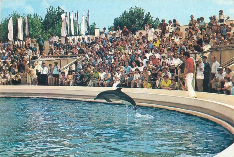 Romania Constanta Dolphinarium dolphin trainer show postcards lot 