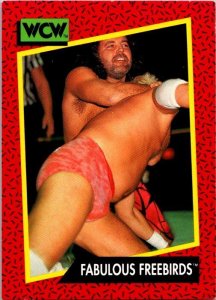 1991 WCW Wrestling Card Fabulous Freebirds sk21185