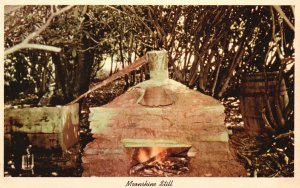 Vintage Postcard 1920's Moonshine Still Hills & Deep Woods Mountain Dew Kentucky