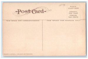 c1910 Panoramic View State Mental Hospital Building Provo Utah Vintage Postcard