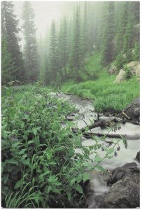 US Colorado Tyndall Creek. Mint card. Beautiful Colorado.