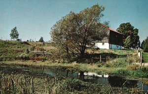 Vintage Postcard Picturesque Farm Scene In Southern Ontario Canada Pub Schneider