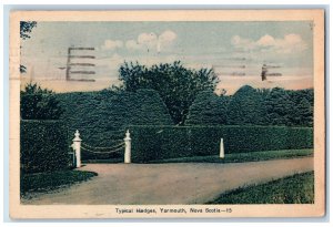 Yarmouth Nova Scotia Canada Postcard Typical Hedges 1933 Vintage Posted