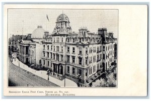 1909 Municipal Building Brooklyn Eagle Post Card Series 42 No. 247 NY Postcard 