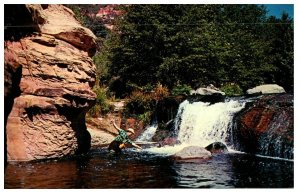 You Land The Big Ones In Oak Creek Canyon Fishing Postcard