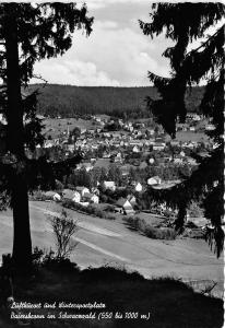 BG29058 baiersbronn im schwarzwald   germany CPSM 14.5x10cm