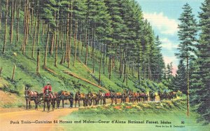 COEUR D'ALENE NATIONAL FOREST ID ADAHO~84 HORSE MULE PACK TRAIN~VINTAGE POSTCARD