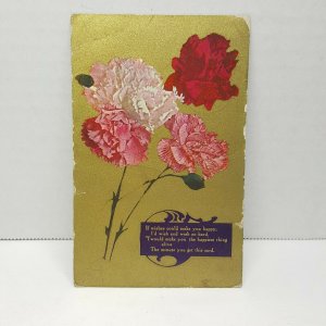 Flowers Carnations Best Wishes 1913 Pink Vintage Postcard