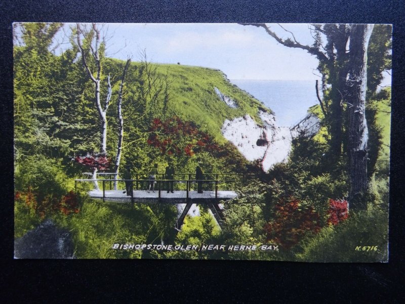 Kent HERNE BAY Bishopstone Glen showing Foot Bridge c1953 Postcard by Valentine