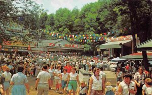 Midway Rides Rolling Green Park Amusement Park Selinsgrove PA postcard