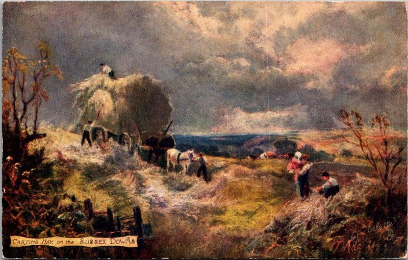 Sussex Downs, Picturesque Counties Tuck 7409 Vintage Postcard V31