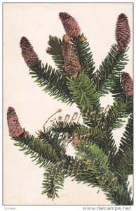 Pine Branch, Greetings from MILFORD, Pennsylvania, 00-10s