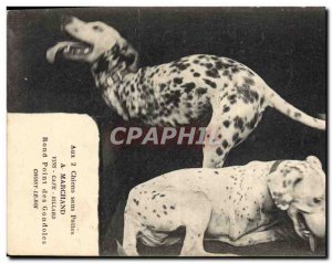 Old Postcard Dog Dogs legless Marchand Rond Point Choisy gondolas TOP KING