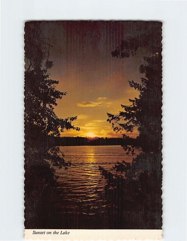 Postcard Sunset on the Lake, Greetings From Cokato, Minnesota