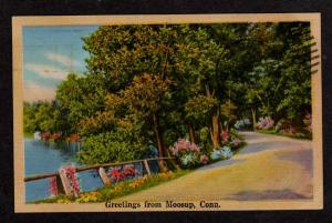 CT Greetings from MOOSUP CONN CONNECTICUT Postcard PC