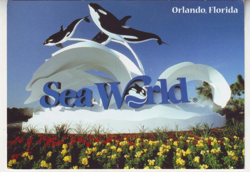 P712 Continental size approx (4 X 6) sea world killer whales orlando florida