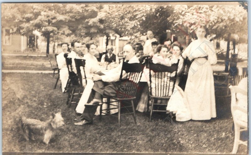 c1910s Vicksburg MI Outdoor Picnic RPPC Yorkshire Terrier Dog Real Photo PC A185