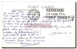 Old Postcard Dartmoor Ponies Pony horse