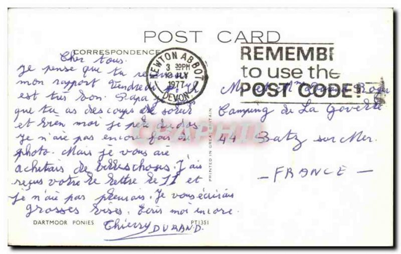 Old Postcard Dartmoor Ponies Pony horse