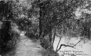 Cedar Falls Iowa~Lover's Lane~Shaded Path Along River~c1910 CU Williams Postcard