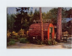 Postcard He And She At Grundy's Redwood Terrace, California