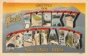 GREETINGS FROM GREAT SMOKY MOUNTAINS NATIONAL PARK LARGE LETTER POSTCARD 1949