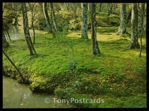 Moss Garden of Saiho-ji