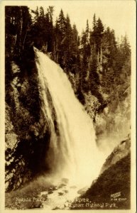 RPPC Narada Falls Paradise River Rainier National Park Real Photo Postcard