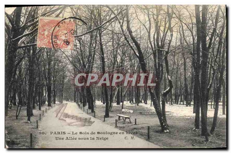 Old Postcard Paris's Bois de Boulogne in hives A Allee in the Snow