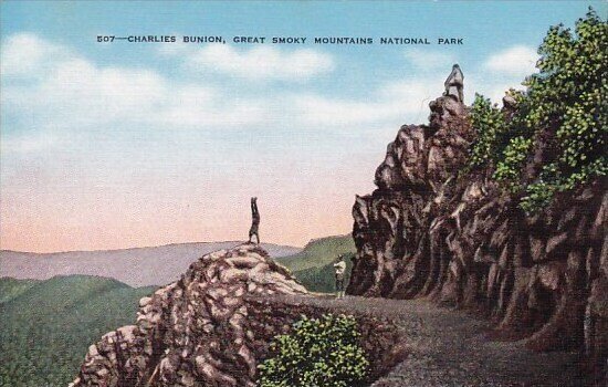 Charlies Bunion Great Smoky Mountains National Park Tennessee