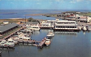 Bill's Famous Ship Caf? and Marina Ocean City, Maryland MD s 