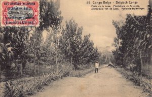 Belgian Congo Poste de la Lowa Funtumia plantings postcard B982