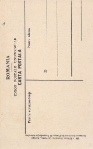 Cioban Shepherd and his Flock Romania 1910c postcard