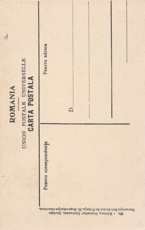 Cioban Shepherd and his Flock Romania 1910c postcard