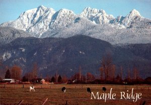 Canada British Columbia Maple Ridge