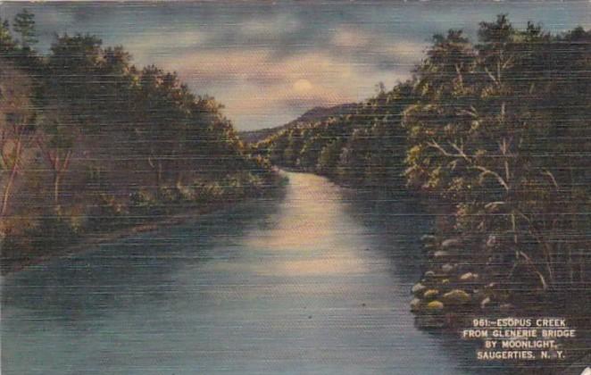 New York Saugerties Esophus Creek From Glenerie Bridge By Moonlight