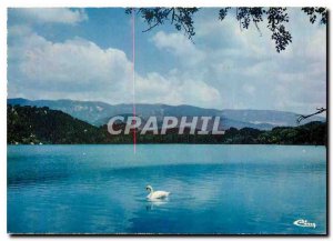 Modern Postcard Lake of the Bonde (Vaucluse) on Lake Bonde Swan basically the...