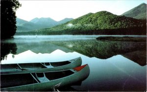 ENVIRONMENTAL DEFENSE FUND ADVERTISING  Acid Rain Lake~Gary Randorf 4X6 Postcard