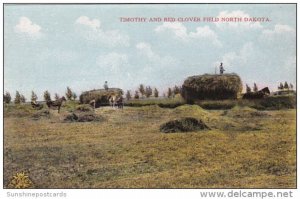 North Dakota Making Hay In Timothy and Red Clover Field