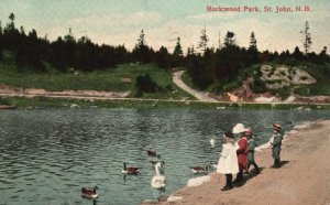 St. John Canada,1909 Rockwood Park Trails Path Valentine & Sons Vintage Postcard