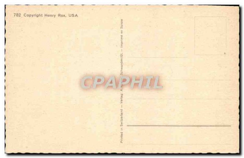 Old Postcard cucumber